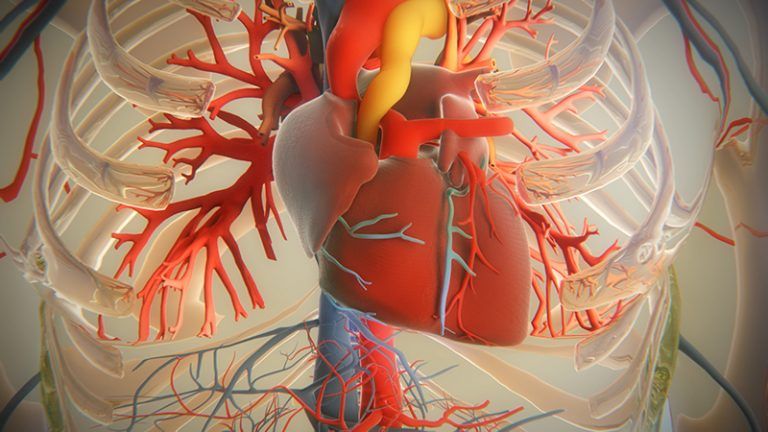 Was ist eine Aortenstenose?