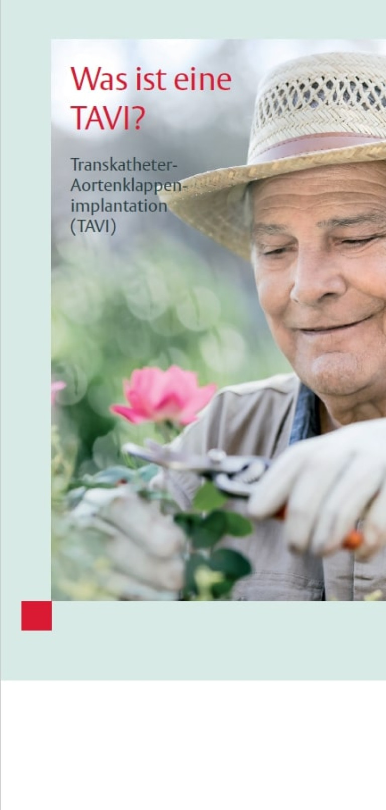 Válvula Aórtica Transcatéter