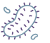 Virus
